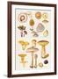 Mushrooms and Truffles-Elizabeth Rice-Framed Giclee Print