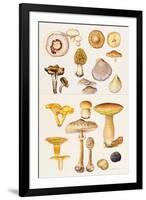 Mushrooms and Truffles-Elizabeth Rice-Framed Giclee Print
