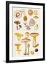 Mushrooms and Truffles-Elizabeth Rice-Framed Giclee Print