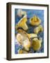 Mushrooms, Chanterelles, (Cantharellus Cibarius), Italy-Nico Tondini-Framed Photographic Print