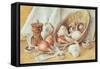 Mushrooms, Garlic, Shallots, 1992-Magda Clarke-Framed Stretched Canvas