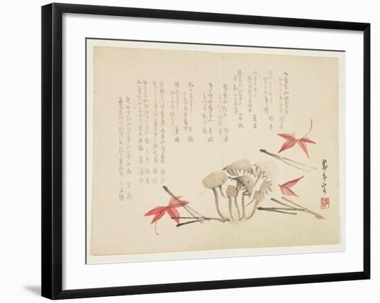 Mushrooms, Maple Leaves and Pine Needles-null-Framed Giclee Print