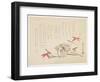 Mushrooms, Maple Leaves and Pine Needles-null-Framed Giclee Print