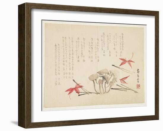 Mushrooms, Maple Leaves and Pine Needles-null-Framed Giclee Print