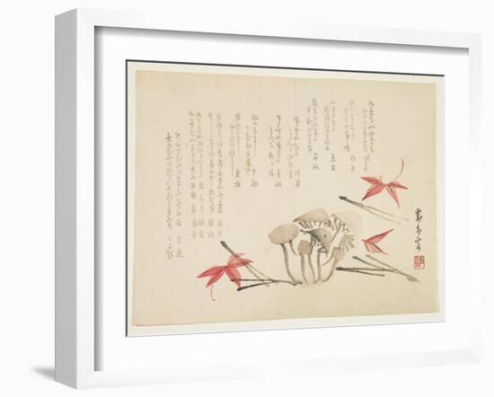 Mushrooms, Maple Leaves and Pine Needles-null-Framed Giclee Print