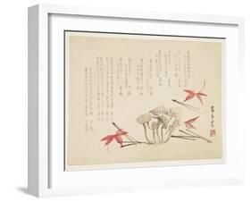 Mushrooms, Maple Leaves and Pine Needles-null-Framed Giclee Print