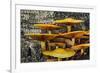 Mushrooms on tree trunk, White Mountains National Forest, New Hampshire-Adam Jones-Framed Photographic Print