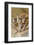 Mushrooms, Saumur, Loire Valley, France-Jim Engelbrecht-Framed Photographic Print