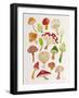 Mushrooms-Cat Coquillette-Framed Giclee Print