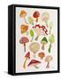 Mushrooms-Cat Coquillette-Framed Stretched Canvas