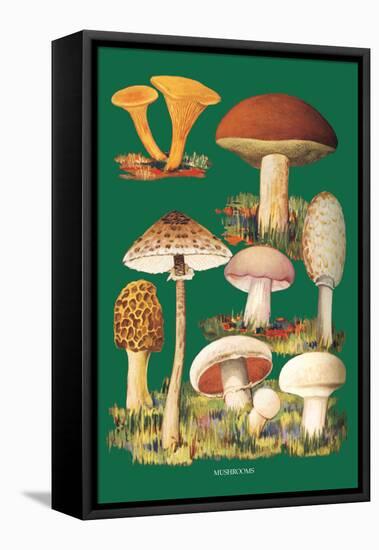 Mushrooms-null-Framed Stretched Canvas
