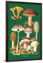 Mushrooms-null-Framed Art Print