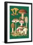 Mushrooms-null-Framed Art Print