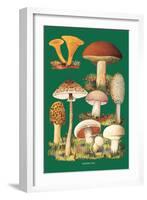 Mushrooms-null-Framed Art Print