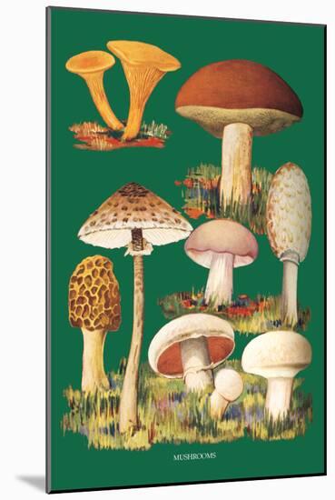 Mushrooms-null-Mounted Art Print