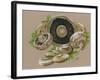 Mushrooms-Barbara Keith-Framed Giclee Print