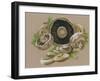 Mushrooms-Barbara Keith-Framed Giclee Print