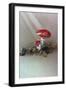 Mushrooms-Harro Maass-Framed Giclee Print