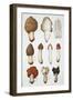 Mushrooms-null-Framed Giclee Print