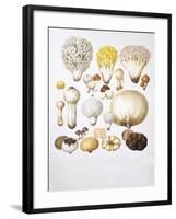 Mushrooms-null-Framed Giclee Print