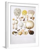 Mushrooms-null-Framed Giclee Print