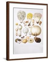 Mushrooms-null-Framed Giclee Print