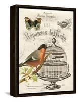 Music Bird I-Gwendolyn Babbitt-Framed Stretched Canvas