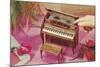 Music Box Shaped like Piano-Found Image Press-Mounted Photographic Print