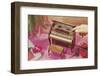 Music Box Shaped like Piano-Found Image Press-Framed Photographic Print