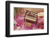 Music Box Shaped like Piano-Found Image Press-Framed Photographic Print