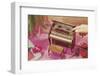 Music Box Shaped like Piano-Found Image Press-Framed Photographic Print