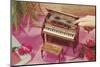 Music Box Shaped like Piano-Found Image Press-Mounted Photographic Print