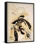 Music, Frank Zappa (drawing)-Ralph Steadman-Framed Stretched Canvas