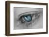 Music in Her Eyes-Xavier Garci-Framed Photographic Print