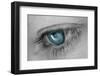 Music in Her Eyes-Xavier Garci-Framed Photographic Print