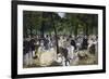 Music in the Jardin Des Tuileries, 1862-Edouard Manet-Framed Giclee Print