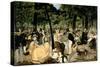 Music in the Tuileries Gardens, 1862-Edouard Manet-Stretched Canvas