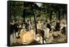 Music in the Tuileries Gardens, 1862-Edouard Manet-Framed Stretched Canvas