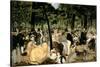 Music in the Tuileries Gardens, 1862-Edouard Manet-Stretched Canvas