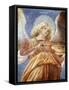 Music-Making Angel with Violin-Melozzo da Forlí-Framed Stretched Canvas