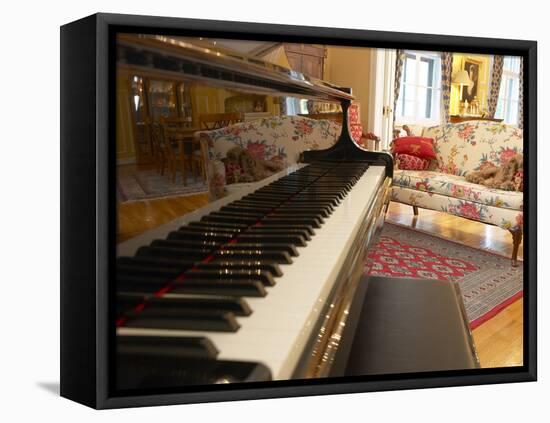 Music Room-null-Framed Stretched Canvas