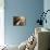 Music Room-null-Mounted Photographic Print displayed on a wall