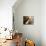 Music Room-null-Mounted Photographic Print displayed on a wall