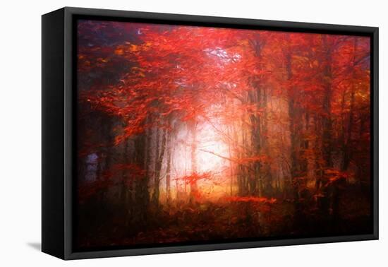 Music To My Eyes-Philippe Sainte-Laudy-Framed Stretched Canvas