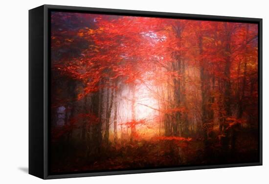 Music To My Eyes-Philippe Sainte-Laudy-Framed Stretched Canvas