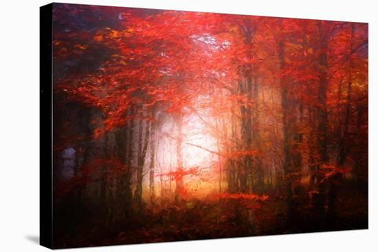 Music To My Eyes-Philippe Sainte-Laudy-Stretched Canvas