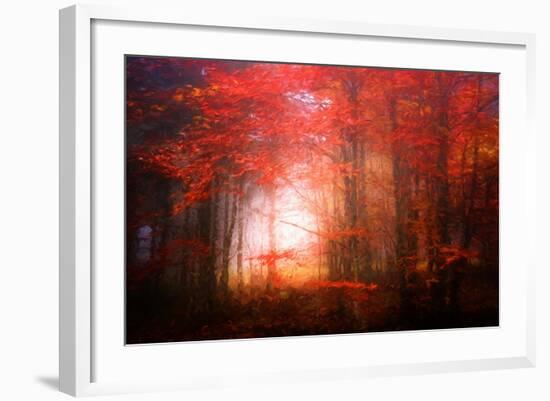 Music To My Eyes-Philippe Sainte-Laudy-Framed Giclee Print