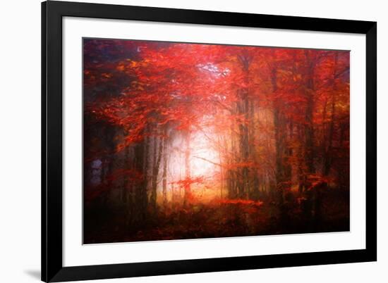 Music To My Eyes-Philippe Sainte-Laudy-Framed Giclee Print