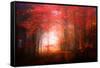 Music To My Eyes-Philippe Sainte-Laudy-Framed Stretched Canvas