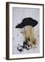 Music, Willie Nelson (drawing)-Ralph Steadman-Framed Giclee Print